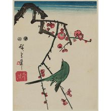 Utagawa Hiroshige: Warbler on Red Plum Branch - Museum of Fine Arts