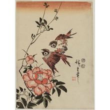 日本版画 "Sparrows and Rose" 由 Utagawa Hiroshige, 歌川広重 (Utagawa Hiroshige I) 创作