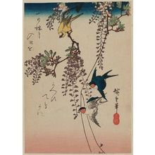 Utagawa Hiroshige: Swallows, Small Bird, and Wisteria - Museum of Fine Arts