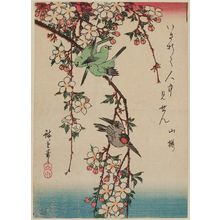 Japanese Print "Small Birds and Weeping Cherry" by Utagawa Hiroshige, 歌川広重 (Utagawa Hiroshige I)