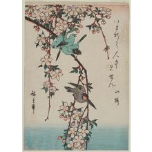 Utagawa Hiroshige, 歌川広重 (Utagawa Hiroshige I)创作的日本版画《Small Birds and Weeping Cherry》