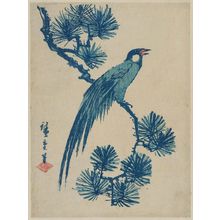 Utagawa Hiroshige: Green Pheasant on Pine Branch - Museum of Fine Arts