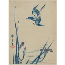 Japanese Print "Cuckoo Flying over Iris" by Utagawa Hiroshige, 歌川広重 (Utagawa Hiroshige I)