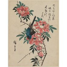 Japanese Print "Bluebird and Wild Rose" by Utagawa Hiroshige, 歌川広重 (Utagawa Hiroshige I)