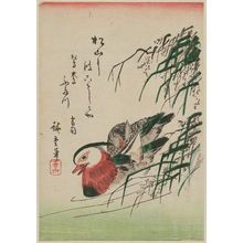 Japanischer Druck "Mandarin Ducks" von Utagawa Hiroshige, 歌川広重 (Utagawa Hiroshige I)