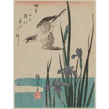 Japanischer Druck "Cuckoo Flying over Iris" von Utagawa Hiroshige, 歌川広重 (Utagawa Hiroshige I)