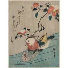 Utagawa Hiroshige, 歌川広重 (Utagawa Hiroshige I)创作的日本版画《Mandarin Ducks and Camellias in Snow》