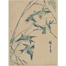 Japanischer Druck "Sparrows and Rice Stalks" von Utagawa Hiroshige, 歌川広重 (Utagawa Hiroshige I)