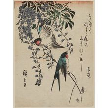 Utagawa Hiroshige: Swallows on Wisteria Vine - Museum of Fine Arts