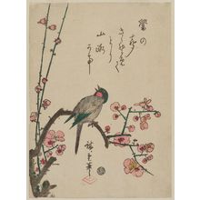 Utagawa Hiroshige: Bird on Red Plum Branch - Museum of Fine Arts
