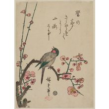 Utagawa Hiroshige, 歌川広重 (Utagawa Hiroshige I)创作的日本版画《Bird on Red Plum Branch》