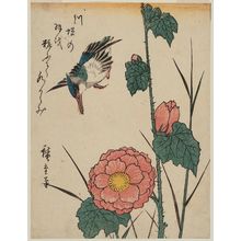 Utagawa Hiroshige, 歌川広重 (Utagawa Hiroshige I)创作的日本版画《Kingfisher and Wild Rose》