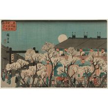 Utagawa Hiroshige: Cherry Blossoms at Night on Naka-no-chô in the New Yoshiwara (Shin Yoshiwara Naka-no-chô yozakura), from the series Famous Places in the Eastern Capital (Tôto meisho) - Museum of Fine Arts