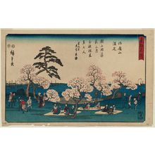 Japanischer Druck "Cherry Blossoms in Full Bloom at Goten-yama (Goten-yama manka), from the series Famous Places in the Eastern Capital (Tôto meisho)" von Utagawa Hiroshige, 歌川広重 (Utagawa Hiroshige I)