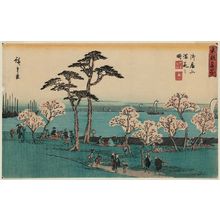 Japanischer Druck "Cherry Blossoms in Full Bloom at Goten-yama (Goten-yama manka no zu), from the series Famous Places in the Eastern Capital (Tôto meisho)" von Utagawa Hiroshige, 歌川広重 (Utagawa Hiroshige I)