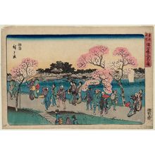 歌川広重: Cherry-blossom Viewing on the Sumida River Embankment (Sumida tsutsumi hanami no zu), from the series Famous Places in the Eastern Capital (Tôto meisho) - ボストン美術館