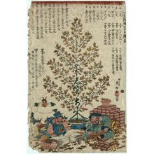 Tsujiya Yasubei: Money Tree - Museum of Fine Arts