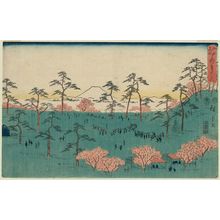 Utagawa Hiroshige, 歌川広重 (Utagawa Hiroshige I)创作的日本版画《Cherry Blossoms at Asuka Hill (Asukayama no hana), from the series Famous Places in Edo (Edo meisho)》