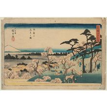 Japanischer Druck "Cherry-blossom Viewing at Asuka Hill (Asukayama hanami no zu), from the series Famous Places in Edo, Newly Selected (Shinsen Edo meisho)" von Utagawa Hiroshige, 歌川広重 (Utagawa Hiroshige I)