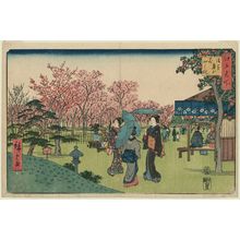 歌川広重: Flower Garden in the Inner Precincts at Asakusa (Asakusa okuyama hanayashiki), from the series Famous Places in Edo (Edo meisho) - ボストン美術館
