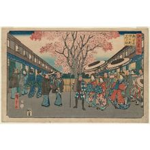 歌川広重: Cherry-blossom Time at Naka-no-chô in the New Yoshiwara (Shin Yoshiwara Naka-no-chô sakura toki), from the series Famous Places in Edo (Edo meisho) - ボストン美術館