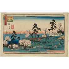 Utagawa Hiroshige: Cherry-blossom Viewing at Goten-yama (Goten-yama hanami), from the series Three Views of Famous Places in Edo (Edo meisho mittsu no nagame) - Museum of Fine Arts
