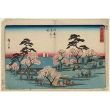 Utagawa Hiroshige: Cherry Blossoms in Full Bloom at Goten-yama (Goten-yama manka no zu), from the series Famous Places in Edo (Edo meisho) - Museum of Fine Arts