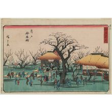 歌川広重: Plum Garden at Kameido (Kameido Umeyashiki), from the series Famous Places in Edo (Edo meisho) - ボストン美術館