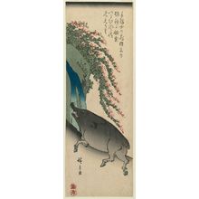 Utagawa Hiroshige: Boar with Waterfall and Bush Clover, from an untitled series of the twelve zodiac animals - Museum of Fine Arts