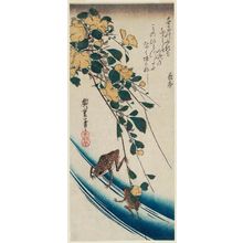 Utagawa Hiroshige: Yellow Rose (Yamabuki) and Frogs - Museum of Fine Arts