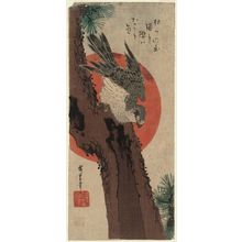 Utagawa Hiroshige: Falcon, Pine, and New Year Sunrise - Museum of Fine Arts