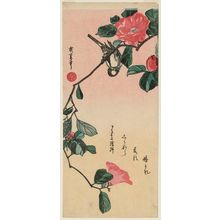Utagawa Hiroshige: Camellia and Bullfinch - Museum of Fine Arts