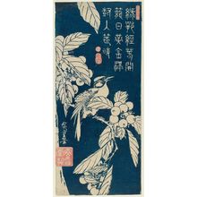 Utagawa Hiroshige: Bird and Loquat - Museum of Fine Arts