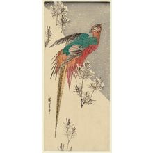 Utagawa Hiroshige: Golden Pheasant and Pine Shoots in Snow - Museum of Fine Arts