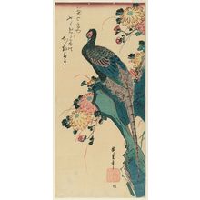 Utagawa Hiroshige: Pheasant and Chrysanthemums - Museum of Fine Arts