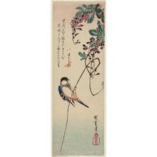 Utagawa Hiroshige: White-cheeked Bird and Wisteria - Museum of Fine Arts