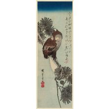 Utagawa Hiroshige: Small Horned Owl in a Pine Tree - Museum of Fine Arts