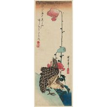 Utagawa Hiroshige: Quail and Poppies - Museum of Fine Arts