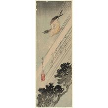 Utagawa Hiroshige: Cuckoo Flying through Rain - Museum of Fine Arts