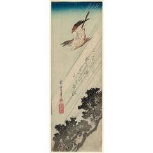 Utagawa Hiroshige: Cuckoo Flying through Rain - Museum of Fine Arts