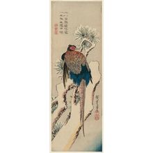 Japanischer Druck "Pheasant on a Snow-covered Pine Tree" von Utagawa Hiroshige, 歌川広重 (Utagawa Hiroshige I)