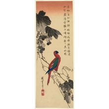 Utagawa Hiroshige: Macaw on Grapevine - Museum of Fine Arts