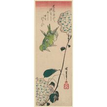 Utagawa Hiroshige: Two Birds and Hydrangea - Museum of Fine Arts