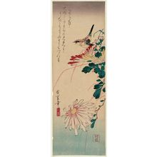 Utagawa Hiroshige: Bird and Chrysanthemums - Museum of Fine Arts