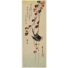 Utagawa Hiroshige: White-headed Bird Clinging to Ivy Vine - Museum of Fine Arts