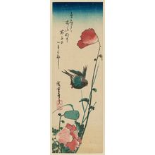 Utagawa Hiroshige: Swallow and Poppy - Museum of Fine Arts