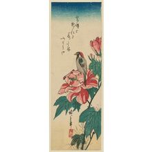 Utagawa Hiroshige: Peony and Bird - Museum of Fine Arts