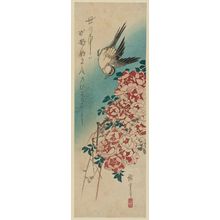 Utagawa Hiroshige: Wagtail and Roses - Museum of Fine Arts