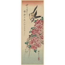 Utagawa Hiroshige: Wagtail and Roses - Museum of Fine Arts