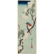 Utagawa Hiroshige: Bird and Double Cherry - Museum of Fine Arts